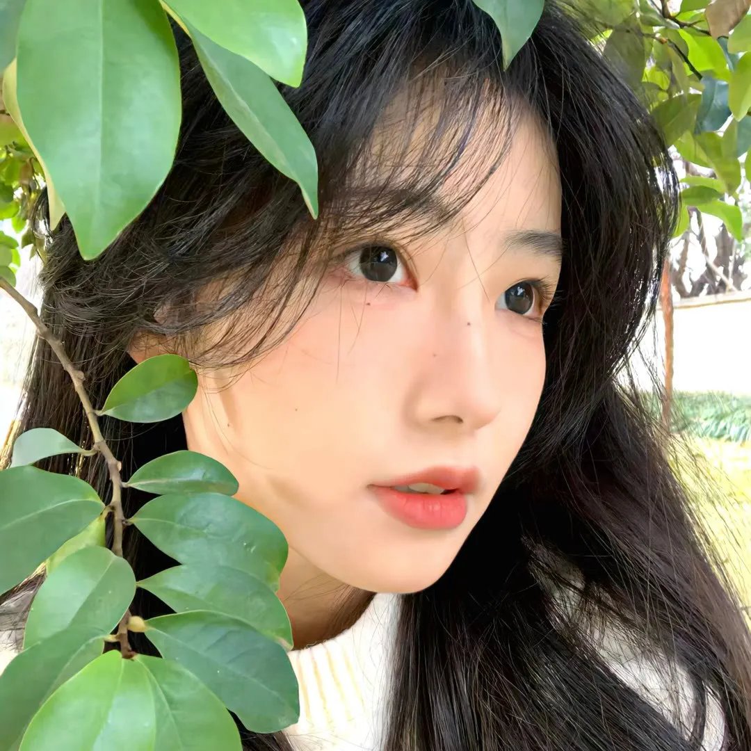 新女婿时代